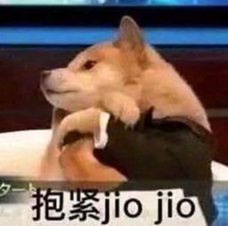 聊天专用的搞笑表情臭弟弟闭嘴好吗我一个人玩儿