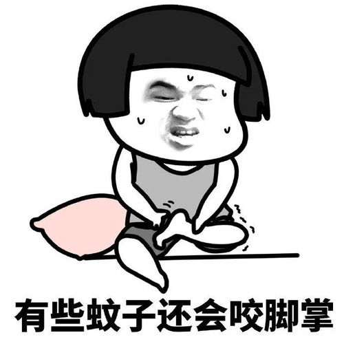 又是被蚊子支配恐惧的一天