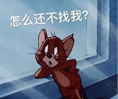 乔杉捂脸大笑动图乔杉动图大笑表情