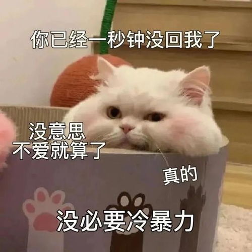 今日份表情包2023.3.23