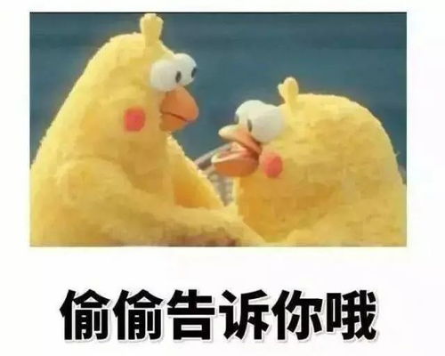 周冬雨小黄鸭版表情包膨胀