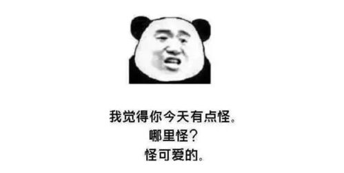 让自己走在潮流前端的土味情话撩人表情包