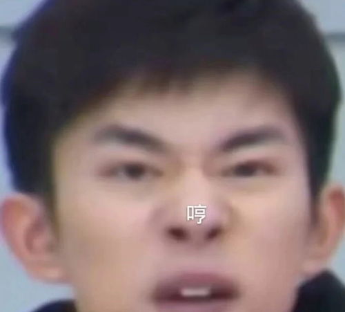 玺子哥可爱沙雕表情包放送