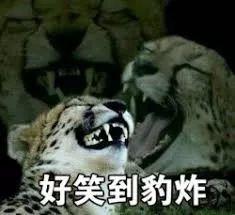 似懂非懂表情包高清