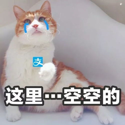刚带牙套时男朋友看我的眼神都怪怪的