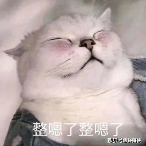 搞笑表情包图片森气,微信聊天天天见