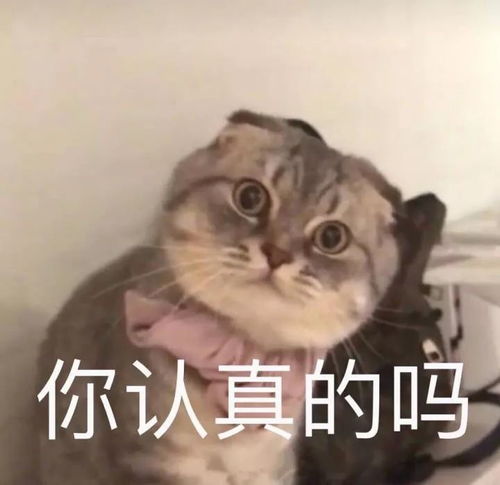 微信哔哩哔哩表情包中年油腻男