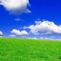 返璞归真的微信头像