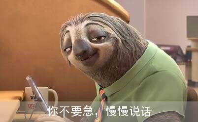 疯狂的动物表情包树懒