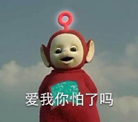 原以为杭州人都是小文艺,没想到个个都是段子手啊
