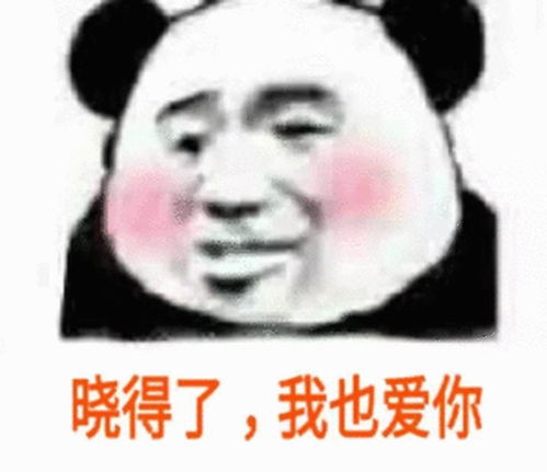 求和女生聊天用的表情包,突然发现自己的表情包骚得不行