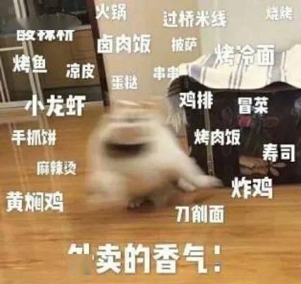 跨海送外卖快递小哥我可太难了