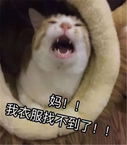 财大人暑假如何不被爸妈嫌弃