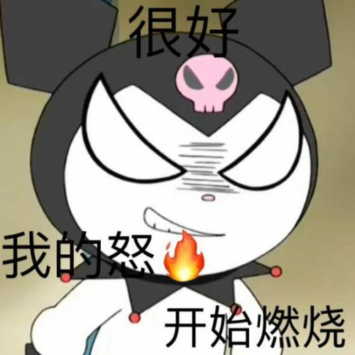 可爱的库洛米三丽鸥表情包六