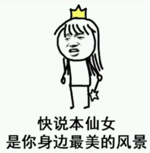 表情包的网站仙女