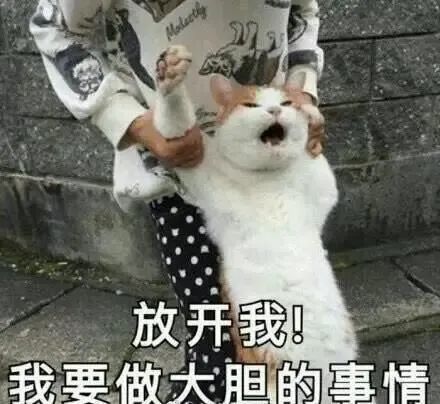 平凉斗图表情包网恋