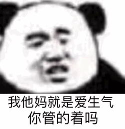 熊猫头表情包看我干不干你就完事了