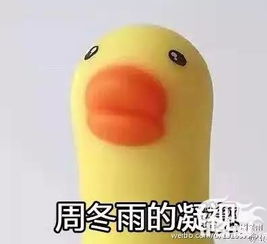 春风十里不如鬼马精灵周冬雨,小黄鸭彻底放飞自我