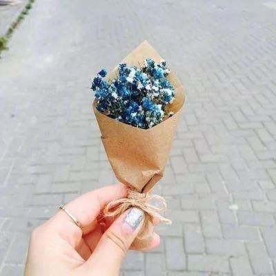中新天津生态城家长鄙视链,看看你在第几层