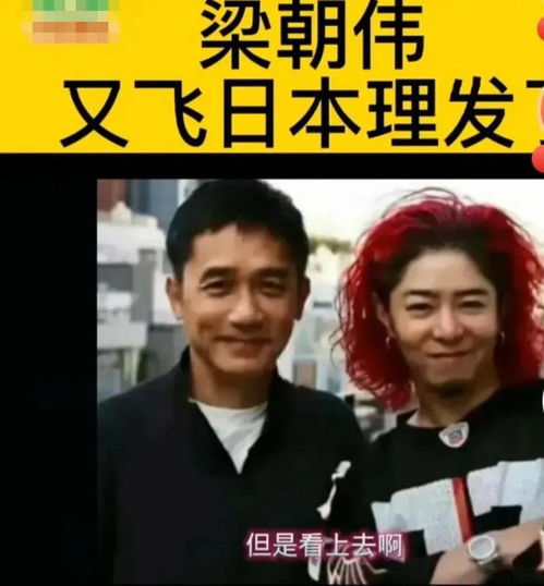 事实证明,63岁在日本养老的丁克族梁朝伟,早已走上了另一条大道