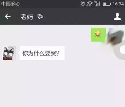 你和你爸妈的聊天截图