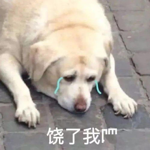 无内鬼,赶紧收图