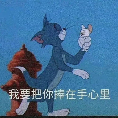 适合双十一的表情包