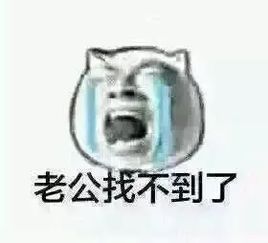 看完此文,你再也不会羡慕那些秀恩爱的人