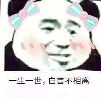 抖音小生不才未得姑娘青睐表情包分享扰姑娘良久姑娘勿怪表情包大全