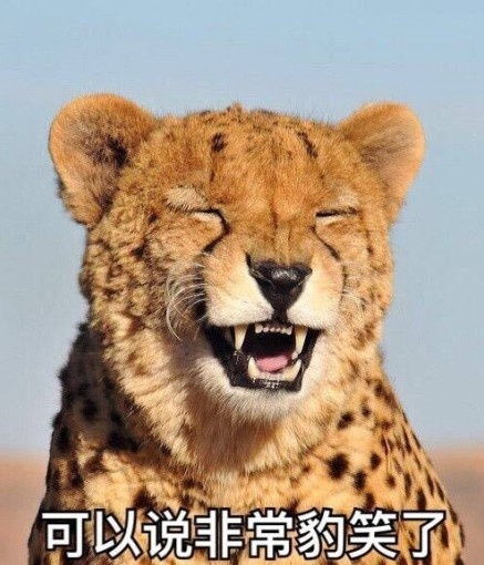 豹毙表情包豪猪