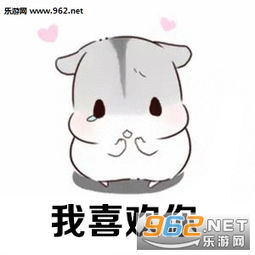 我喜欢你做我的女人表情图片我喜欢你表情包仓鼠版下载乐游网游戏下载