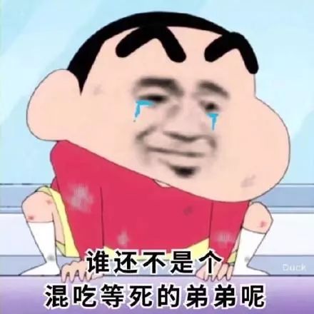 逐渐肥胖表情包蜡笔小新
