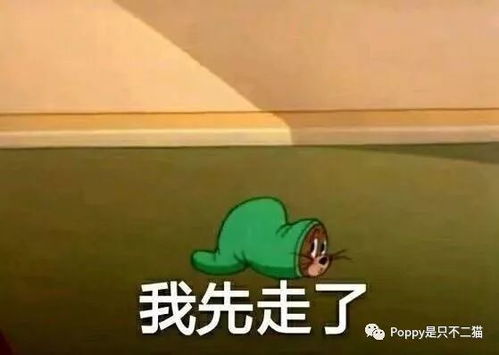 在家等蛙终究不是个事儿来自死宅的良心推荐