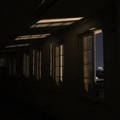 ins风陈知在逃