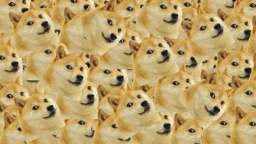你说说丨年轻人为什么总用自黑