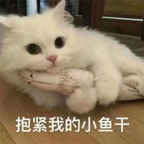 热门表情包大合集丨听我狡辩