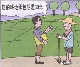 土地承包经营权互换
