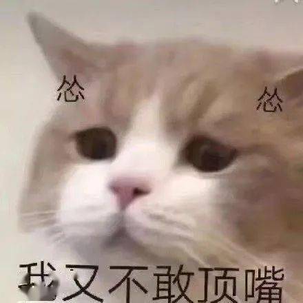 每天几毛钱,学选它