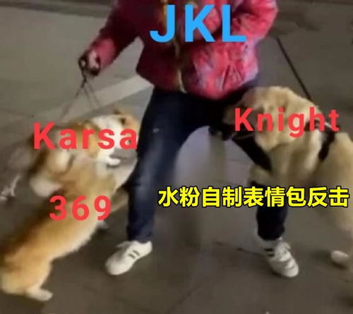 jkl抱大腿节奏突起,水粉自制表情包开团,jkl的队友遭殃了