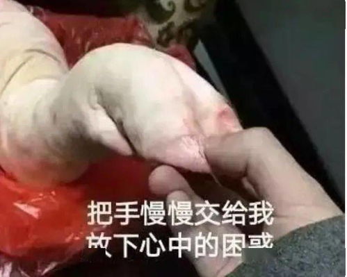 恶狠狠表情包咬指甲