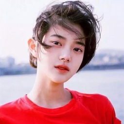 1收藏夹