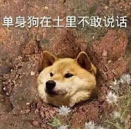 广场舞大妈也有鄙视链每日搞笑段子