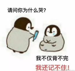 每周推荐新学期你值得拥有的效率秘笈