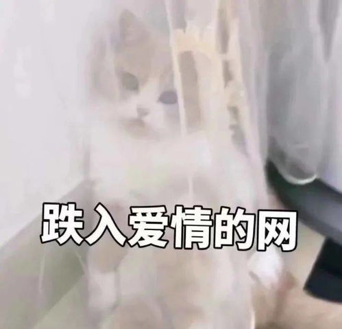 亲亲我的爱人表情包亲嘴