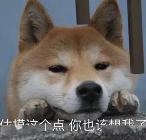 喂我有一个证想和你领一下