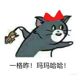 王者模拟战阵容推荐坦克射手流
