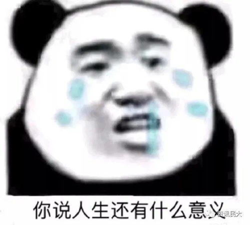 我的开学焦虑症因为这世界上最长的两公里而急剧加重