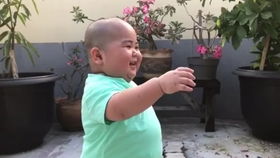 表情包胖子tatan长大了,会折衣服了