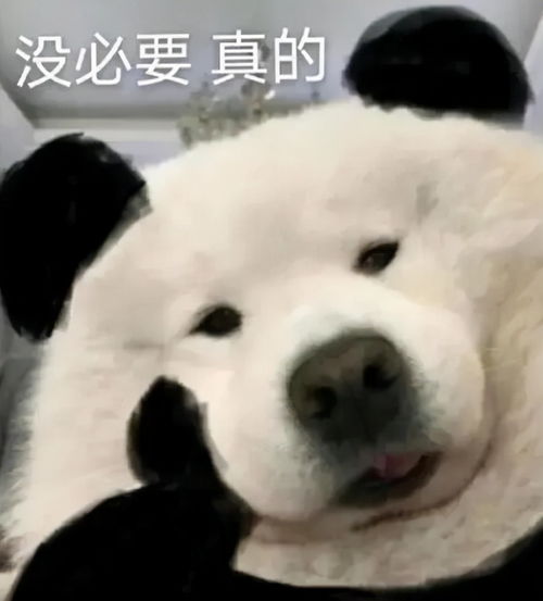 九宫格兔子指人表情包萨摩耶