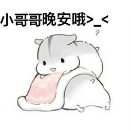有哪些表情包可以用来撩汉